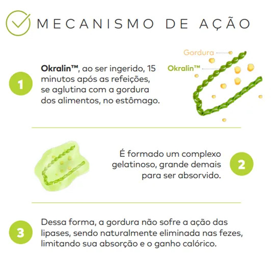 Okralin: como ativo oriundo do quiabo reduz a absorção de gordura
