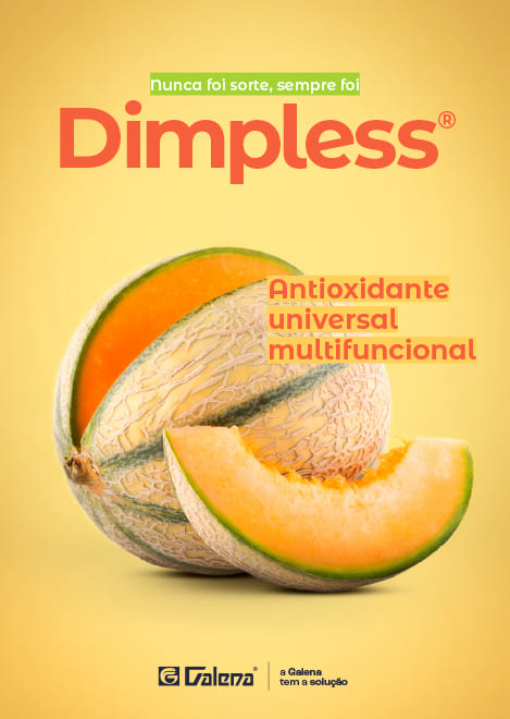 Dimpless: Como o antioxidante oriundo do Melão reduz a celulite