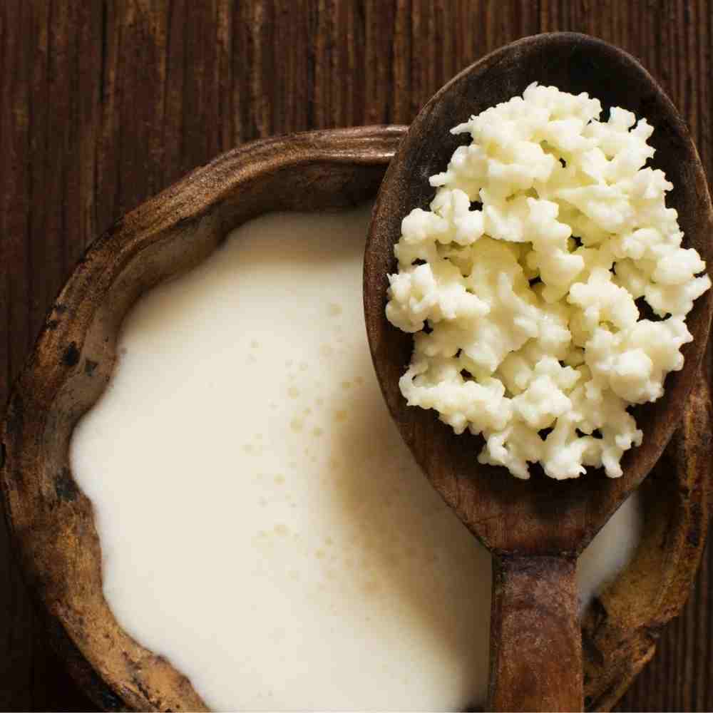 Como-a-microbiota-intestinal-influencia-sua-saude-e-imunidade (1)